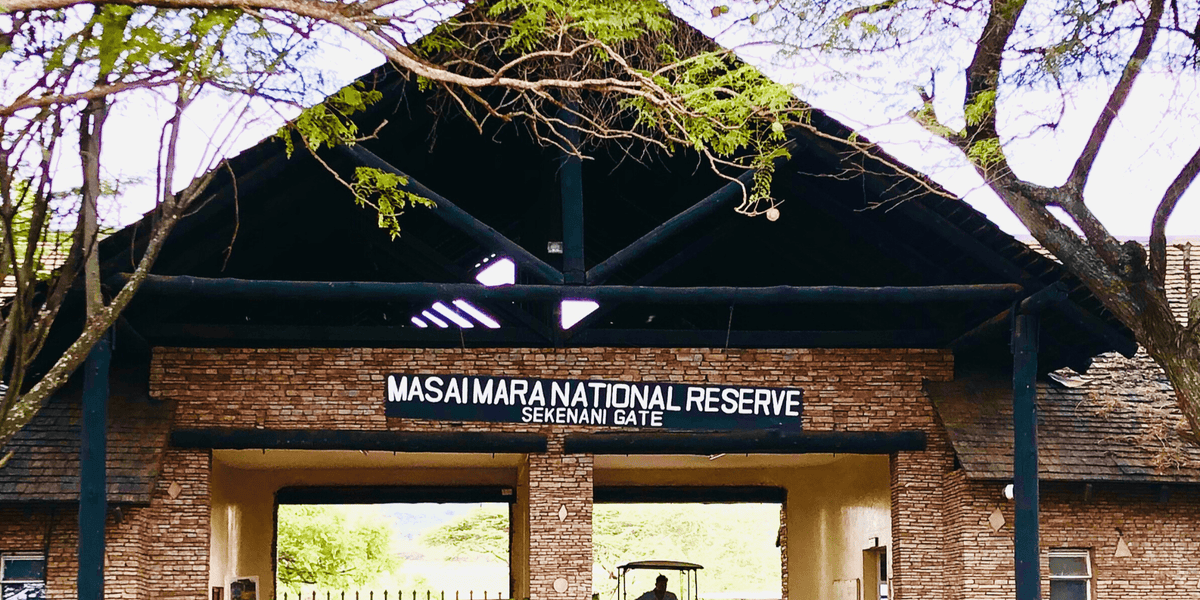 Exploring Maasai Mara National Reserve – Where The Adventure Is!
